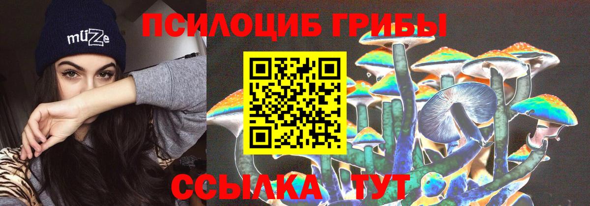 Галлюциногенные грибы прущие грибы Краснокаменск