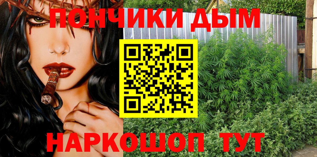 Бошки Шишки SATIVA & INDICA  Вход с VPN  МАРИХУАНА сатива  Бошки Шишки Amnesia  Краснокаменск  Марихуана гибрид 